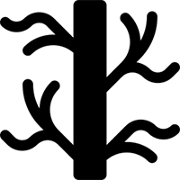 Vaskular