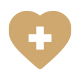 Supportive & Palliative Care Service