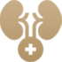 Urology Surgery Sunway