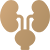 Urology Centre