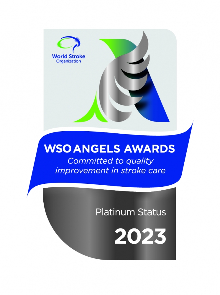 World Stroke Organisation (WSO) Angels Awards 2021 - Platinum Award (Q4)