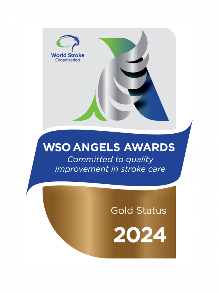 World Stroke Organisation (WSO) Angels Awards 2024 - Gold Award (Q3)