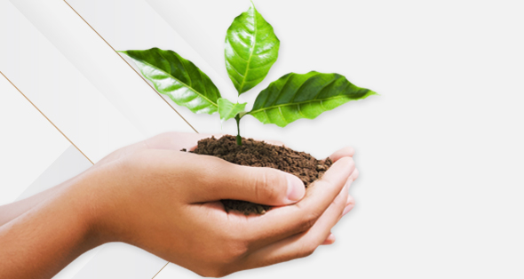 Leading the Way in Sustainable Healthcare